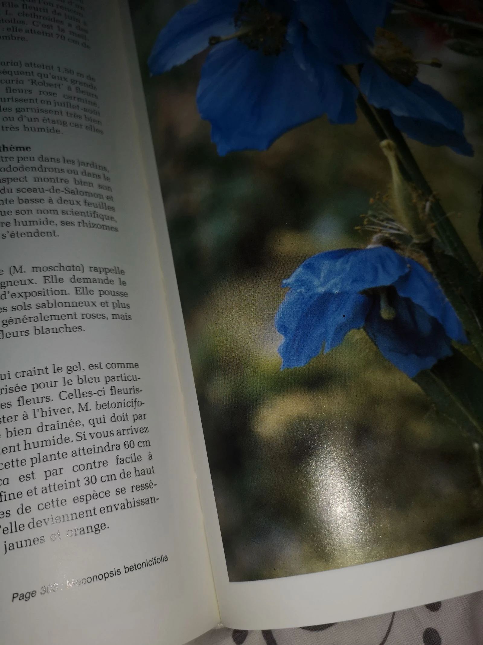 Tuinieren gids – photo 12
